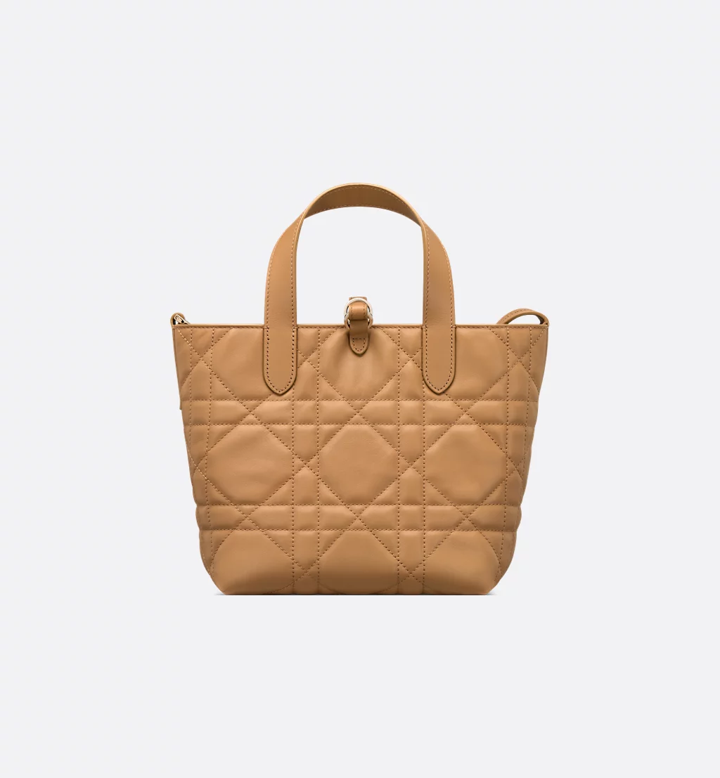 Small Dior Toujours Vertical Tote Bag